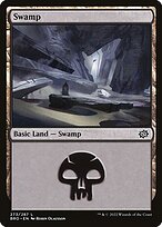 Swamp (BRO-273) - common - Foil