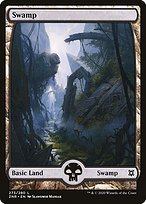 Swamp (ZNR-273) - common: (Full Art)