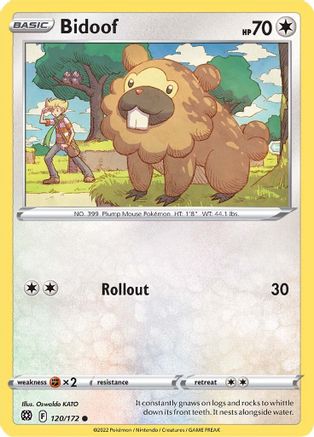 Bidoof (120/172) - SBS  - Common