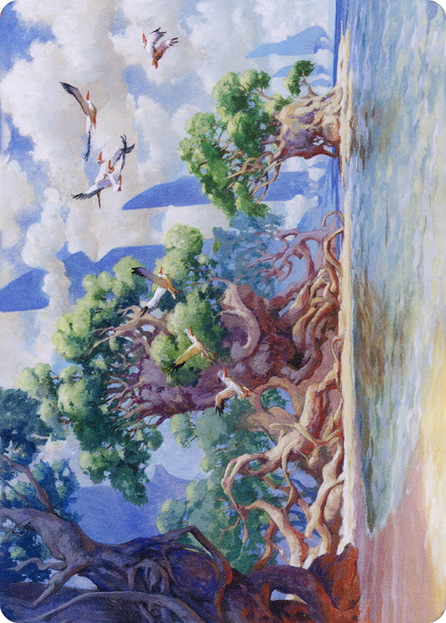 Yavimaya Coast // Yavimaya Coast (ADMU-061) - common (Borderless) - Foil