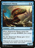Shipwreck Moray (AER-045) - common