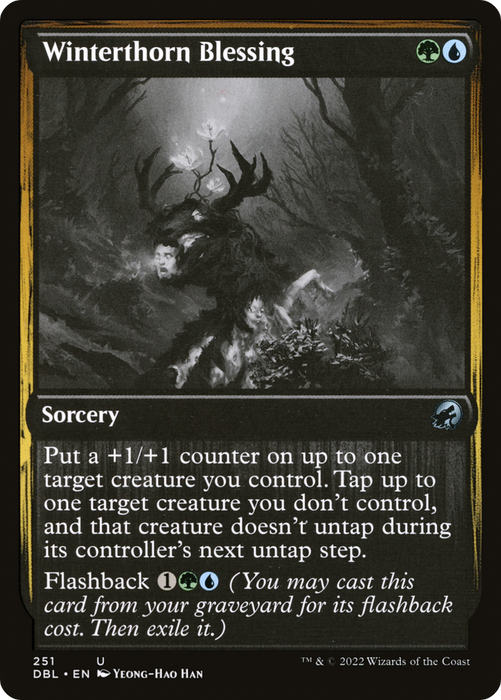 Winterthorn Blessing (DBL-251) - uncommon - Foil