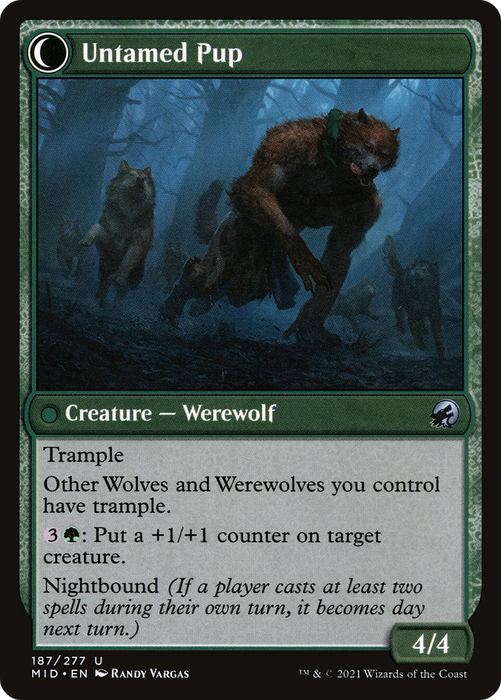 Hound Tamer // Untamed Pup (MID-187) - uncommon: (Double Faced Transform) - Foil