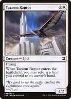 Tazeem Raptor (ZNR-043) - common