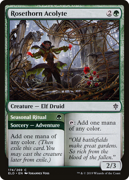Rosethorn Acolyte // Seasonal Ritual (ELD-174) - common - Foil