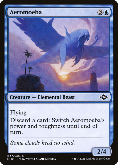 Aeromoeba (MH2-037) - common