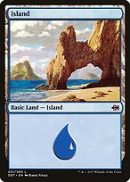 Island (DDT-031) - common