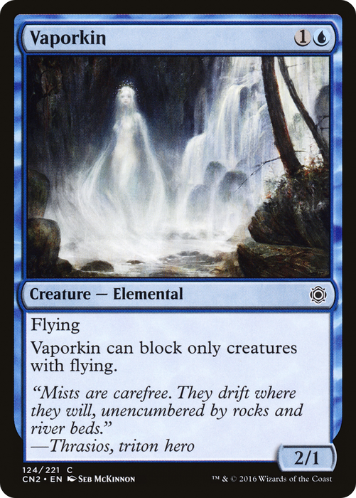 Vaporkin (CN2-124) - common