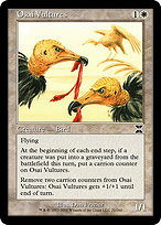 Osai Vultures (ME4-021) - common