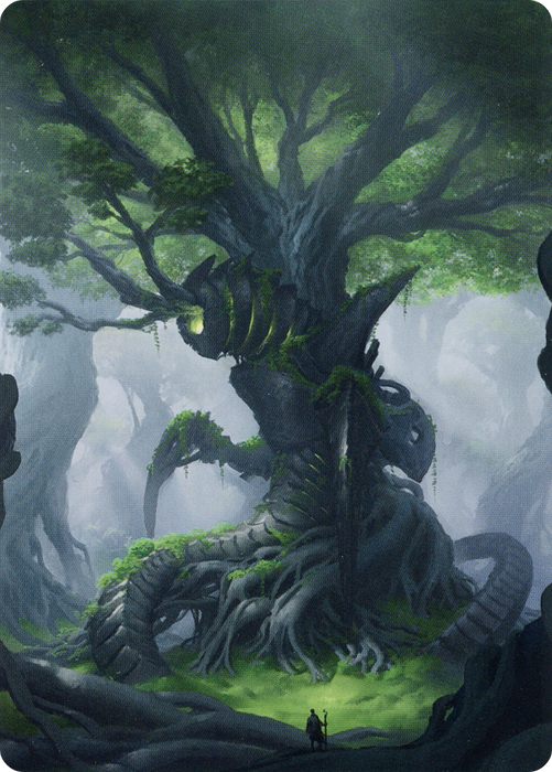 Forest // Forest (ABRO-053) - common (Borderless) - Foil