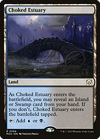 Choked Estuary (MOC-394) - rare