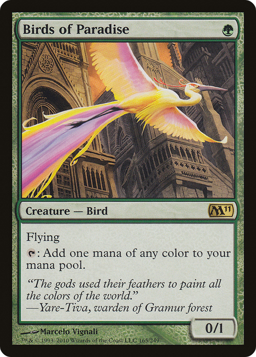 Birds of Paradise (M11-165) - rare