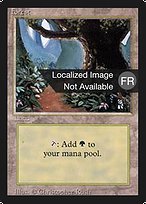Forest (FBB-305) - common