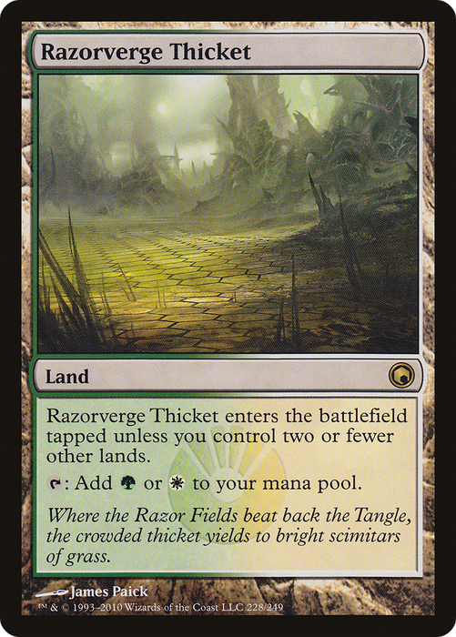 Razorverge Thicket (SOM-228) - rare - Foil