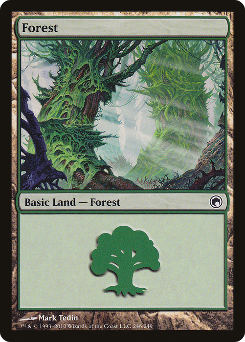 Forest (SOM-246) - common - Foil