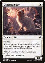 Charmed Stray (WAR-008) - common - Foil