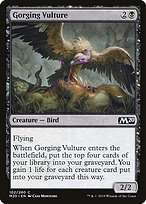 Gorging Vulture (M20-102) - common
