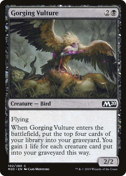 Gorging Vulture (M20-102) - common - Foil
