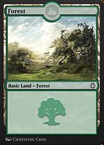 Forest (KLR-300) - common