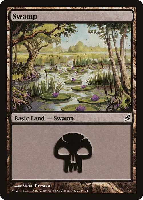 Swamp (LRW-293) - common