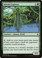 Sylvok Explorer (C16-169) - common
