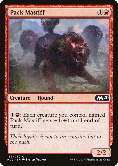 Pack Mastiff (M20-152) - common - Foil