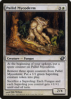 Pallid Mycoderm (PLC-010) - common