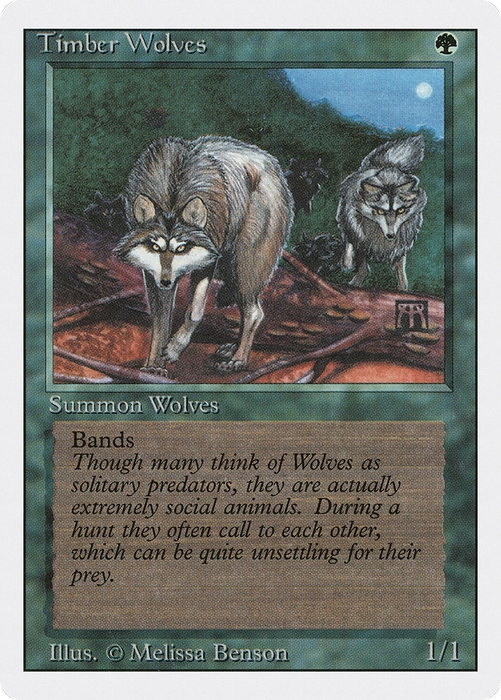Timber Wolves (3ED-219) - rare