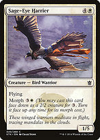 Sage-Eye Harrier (KTK-020) - common - Foil