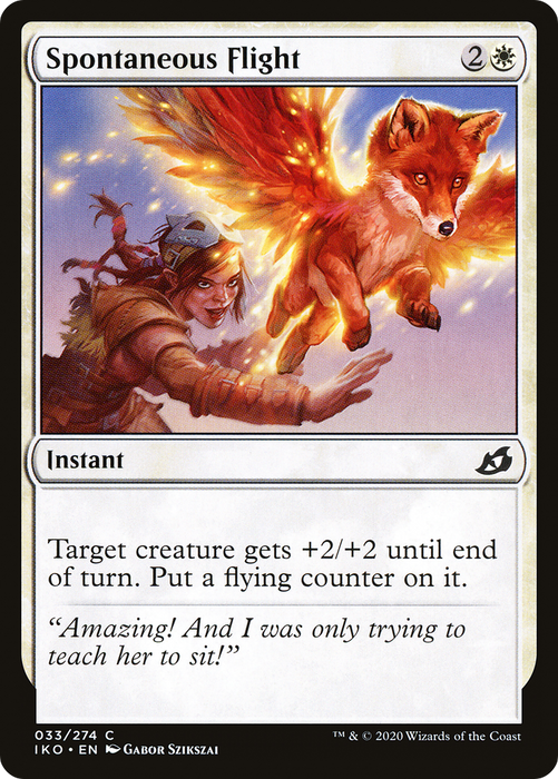 Spontaneous Flight (IKO-033) - common