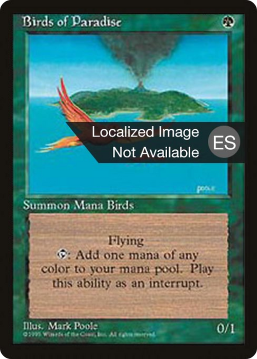Birds of Paradise (4BB-234) - rare