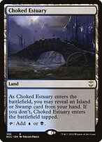 Choked Estuary (NCC-393) - rare