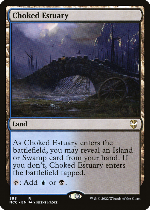 Choked Estuary (NCC-393) - rare