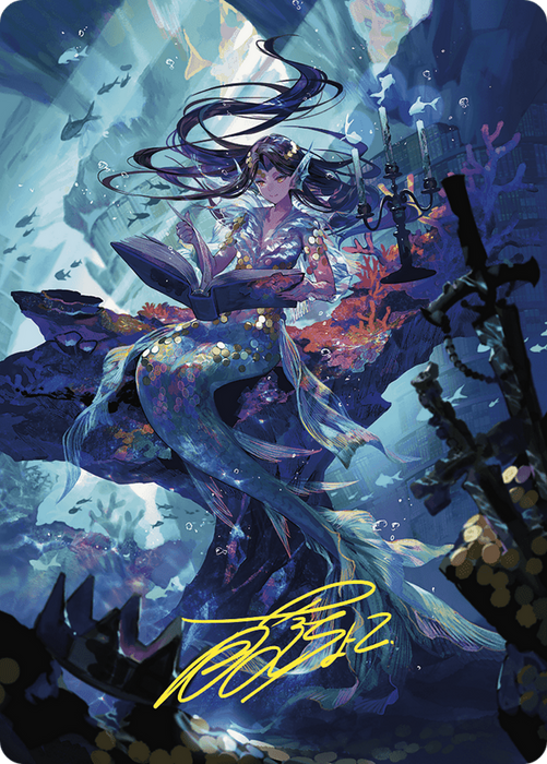 Rhystic Study // Rhystic Study (AWOE-079) - common (Borderless) - Foil