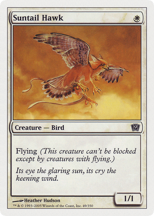 Suntail Hawk (9ED-049) - common