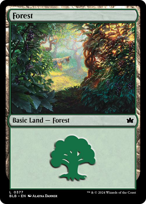 Forest (BLB-377) - common