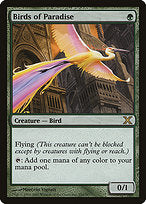Birds of Paradise (10E-252) - rare