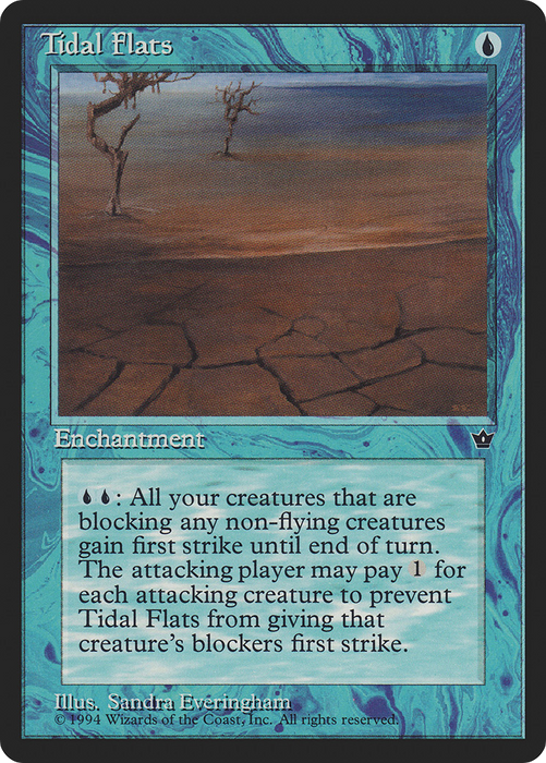 Tidal Flats (FEM-27C) - common