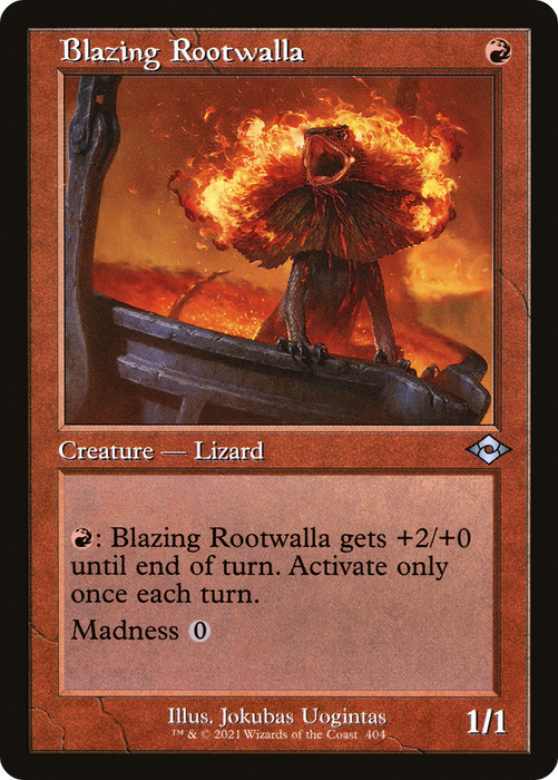 Blazing Rootwalla (MH2-404) - uncommon - Foil