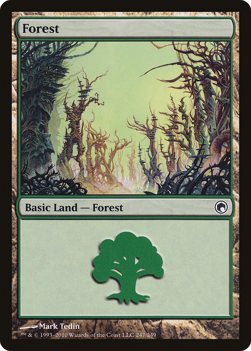 Forest (SOM-247) - common - Foil