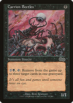 Carrion Beetles (USG-122) - common