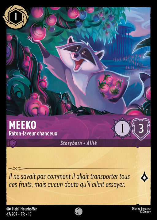 Meeko - Raton-laveur chanceux