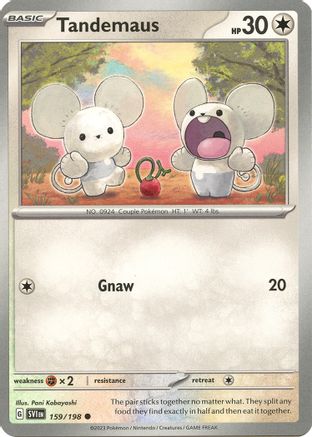 Tandemaus (159/198) - SSVBS  - Common