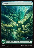 Forest (TDM-276) - common