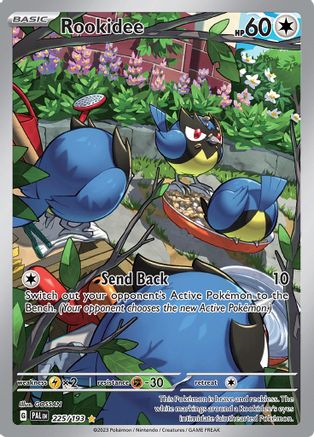 Rookidee (225/193) - SPE  - Illustration Rare - Holofoil
