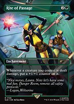 Rite of Passage (SLD-1739) - rare (Borderless)