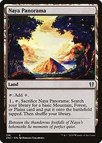 Naya Panorama (ZNC-136) - common