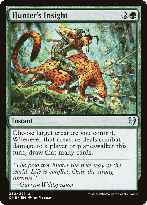 Hunter's Insight (CMR-232) - uncommon - Foil