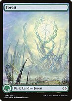 Forest (ONE-266) - common