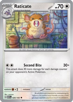 Raticate (020/165) - SSV1  - Uncommon